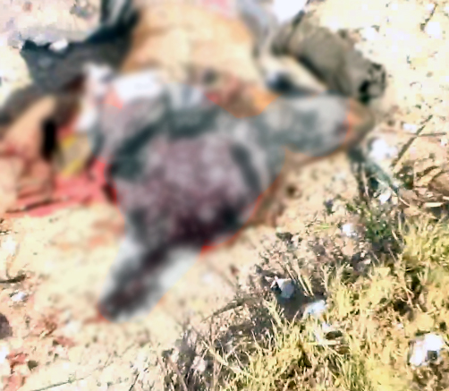 10-007.jpg 10-007.jpg