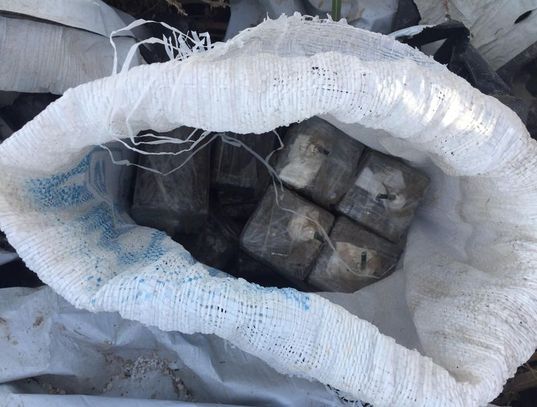 1135157_e5f883bf12aa0868dee03d0b550bde8b.jpg 1135157_e5f883bf12aa0868dee03d0b550bde8b.jpg