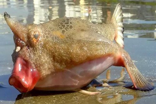 12k-001.jpg 12k-001.jpg