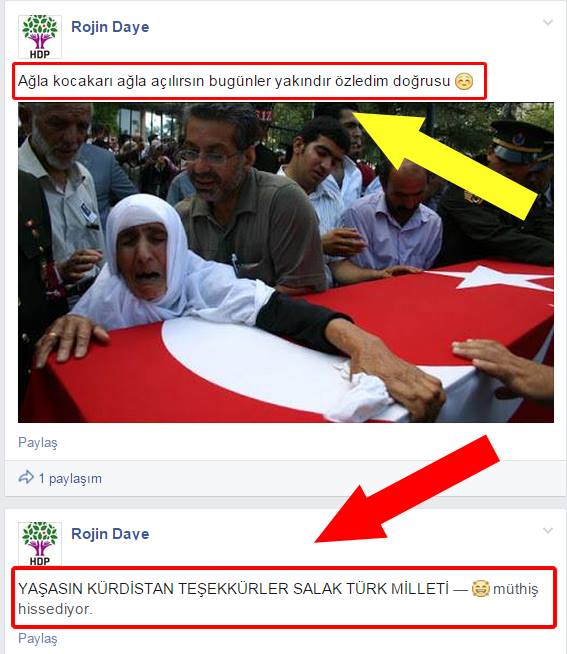 1433874129.jpg 1433874129.jpg