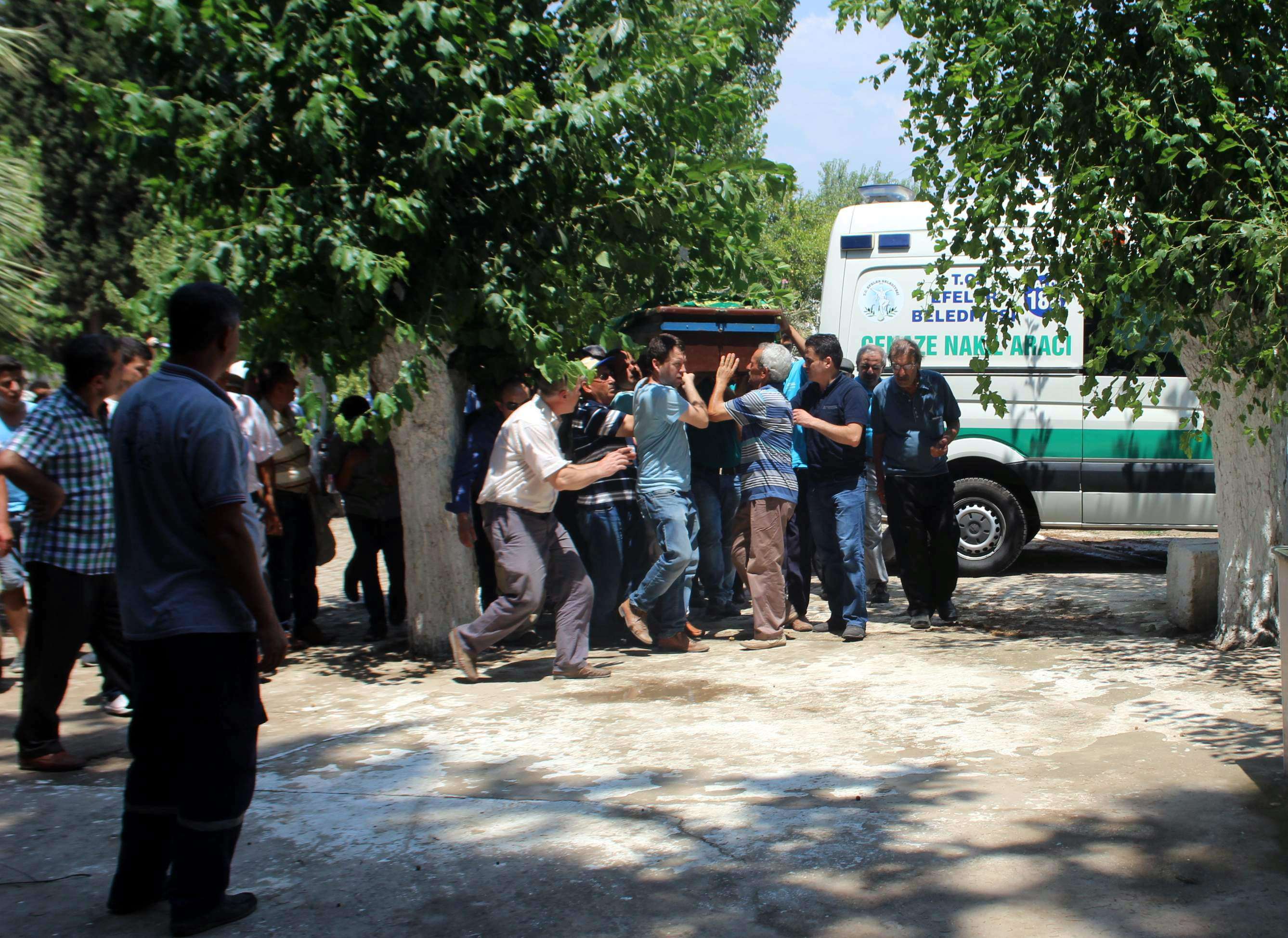 1468902316355.jpg 1468902316355.jpg