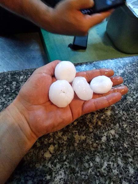 15564_454515.jpeg 15564_454515.jpeg