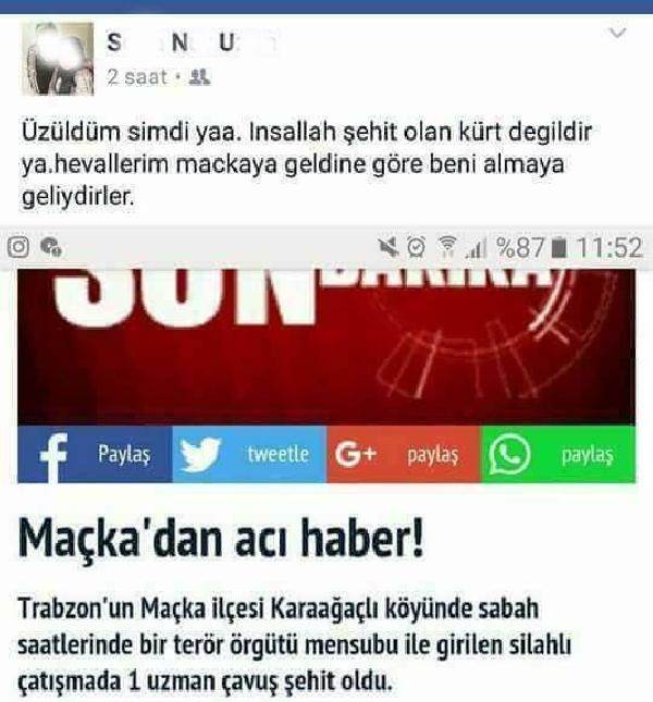 17-017.jpg 17-017.jpg