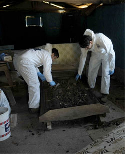 1_20130427112310.jpg 1_20130427112310.jpg