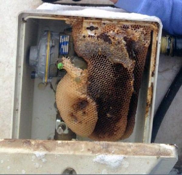 1_66_2.jpg 1_66_2.jpg