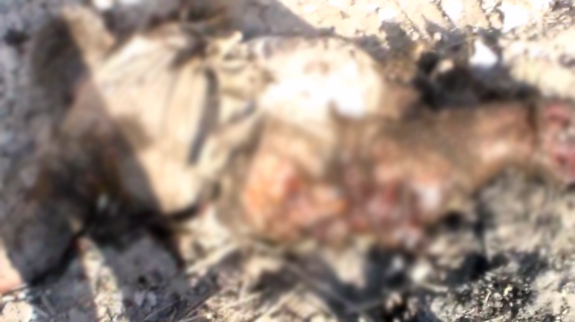 20-002.jpg 20-002.jpg