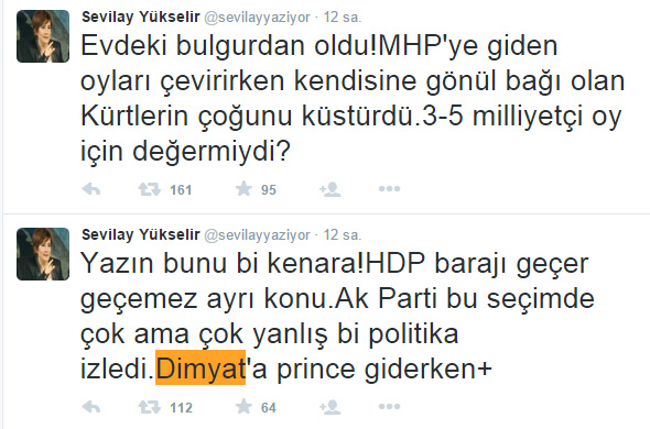 20150606114653_sevilay-yukselir-hdp-tweetleri-3.jpg