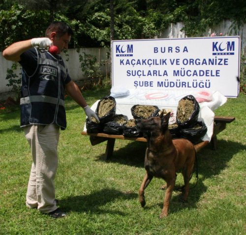 230 Bin TL’lik Uyuşturucu Operasyonu