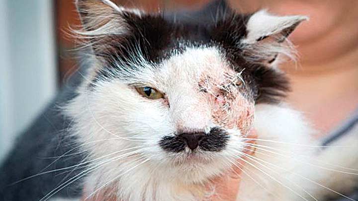 230520142035170156580.jpg 230520142035170156580.jpg