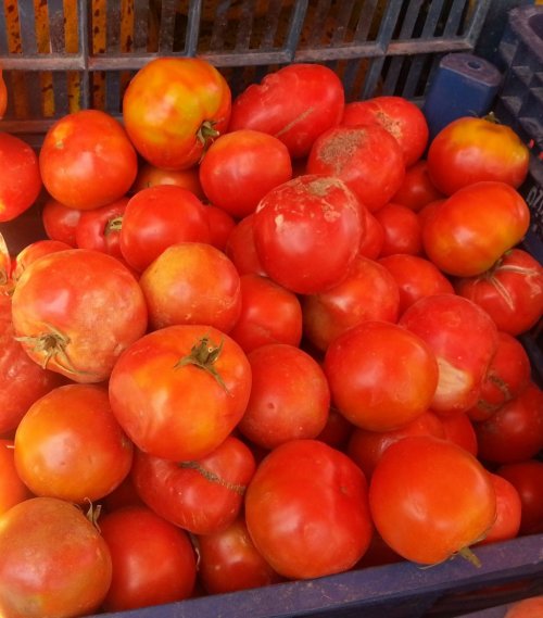 25 Kuruş, Markette 1,5 Lira