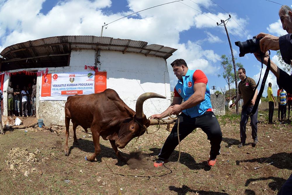 2_d-002.jpg 2_d-002.jpg