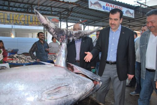 330 Kilo Ağırlığında Balık Yakalandı