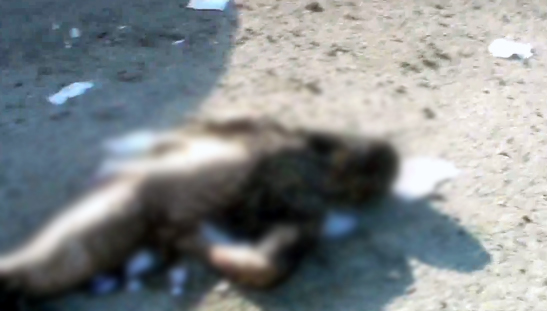 40-001.jpg 40-001.jpg