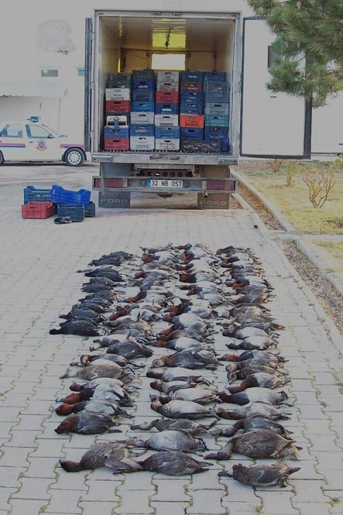 489 Avcıya 508 Bin Tl Ceza