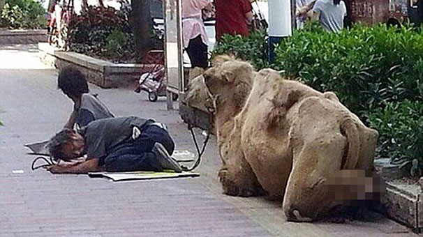 4k-002.jpeg 4k-002.jpeg