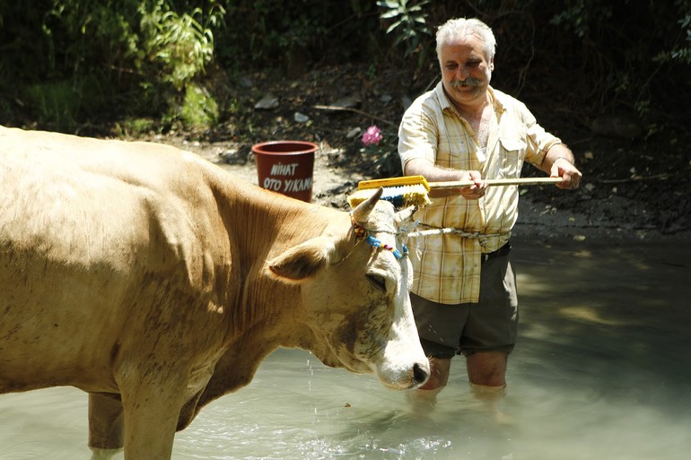 57b594b00f2545272c29ba5b.jpg 57b594b00f2545272c29ba5b.jpg