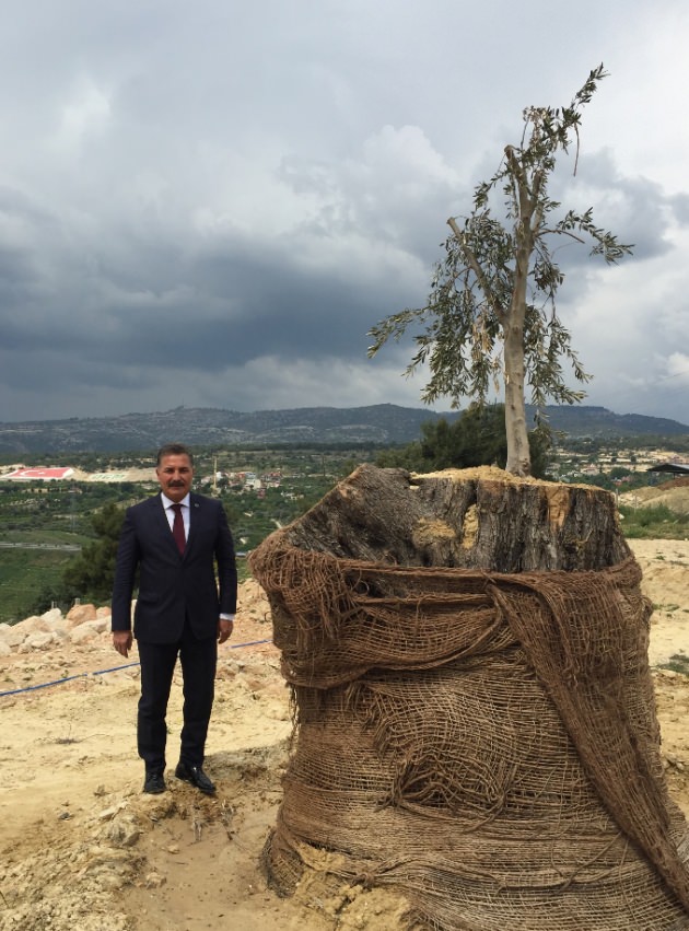 58k3g_1429850028_8278.jpg 58k3g_1429850028_8278.jpg