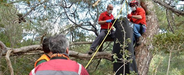 8ksdk_1427912125_6853.jpg 8ksdk_1427912125_6853.jpg