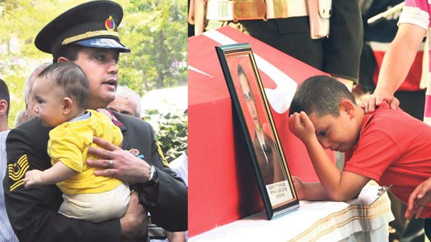 a_6428.jpeg a_6428.jpeg