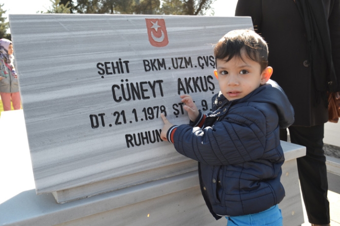 a_7987_1.jpg a_7987_1.jpg