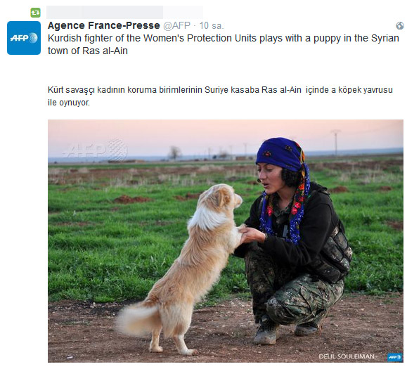 afp2.jpg