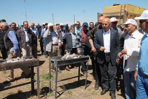 Ağrı Dağı Eteklerinde Piknik Şenliği