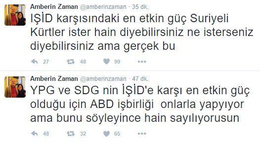 amberin_500.jpg amberin_500.jpg