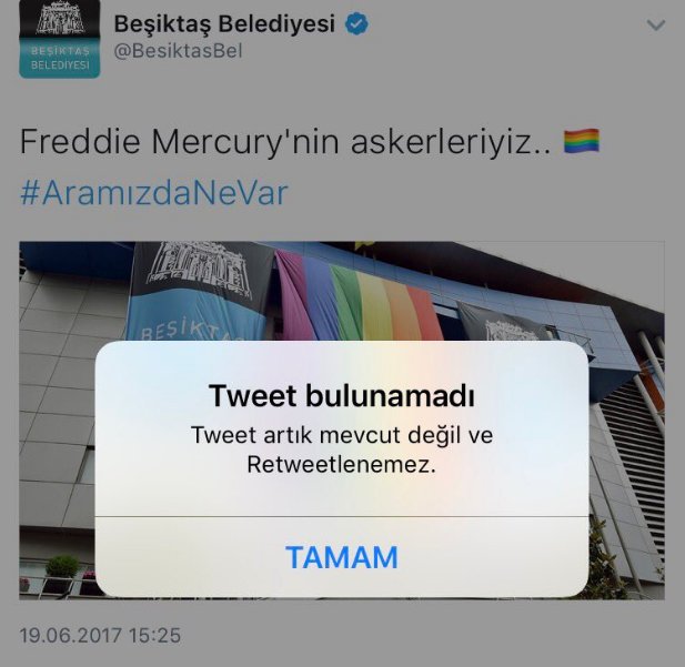 asd_4793.jpg asd_4793.jpg