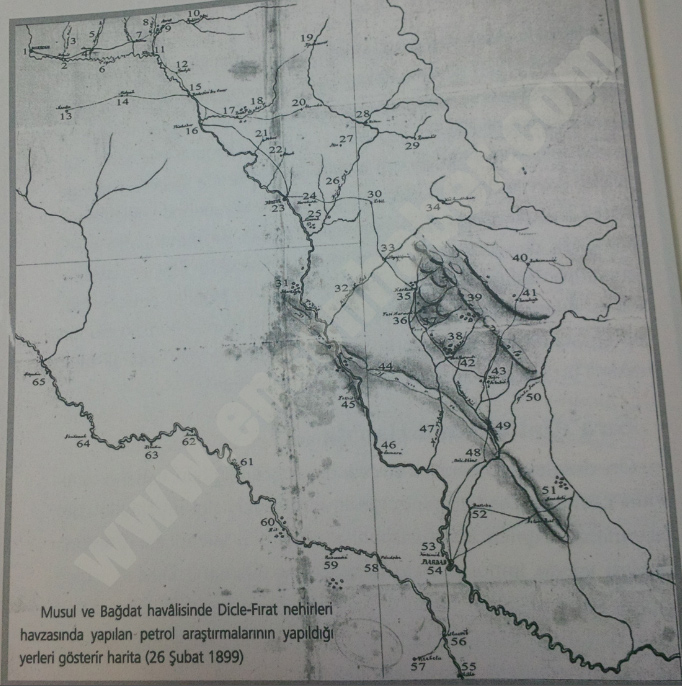 asdf_5253.jpg