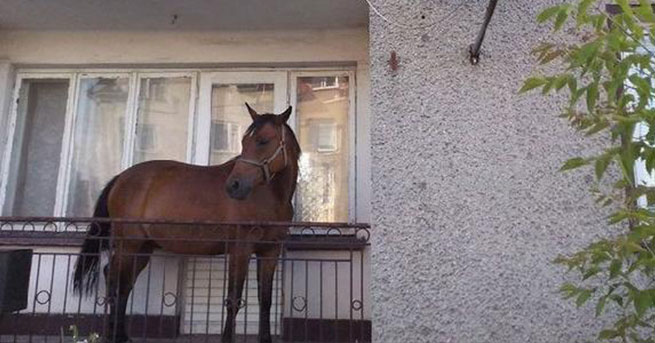 at_2552.jpg at_2552.jpg