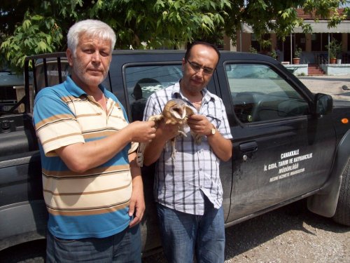Ayağı Kırılan Kuşa Vatandaşlar Sahip Çıktı