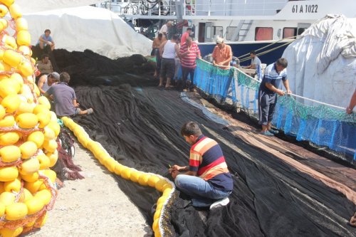 Balık Sezonu Başlıyor