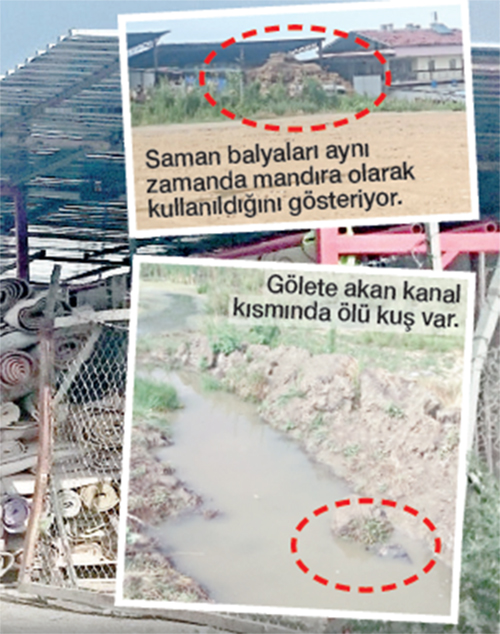 baskentte-hali-yikama-rezaleti1.jpg