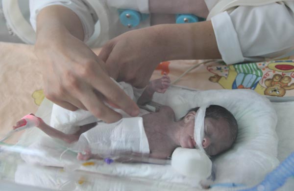 bebek2.jpeg bebek2.jpeg