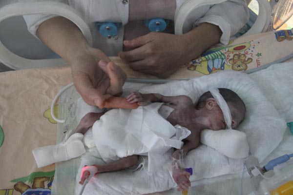 bebek3.jpeg bebek3.jpeg