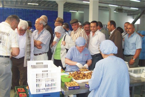 Birgili Üreticilerden İzmir’e “Organik” Gezi