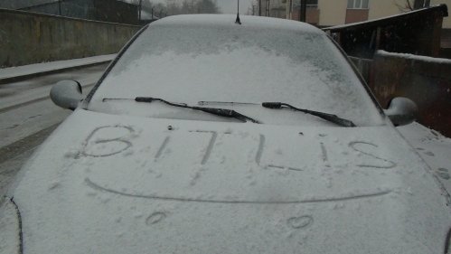 Bitlis’te Kar, Tipi Ve Fırtına Hayatı Durdurdu