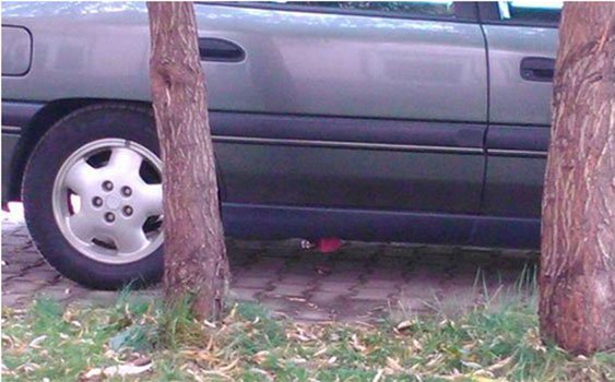 bomba-001.jpg bomba-001.jpg