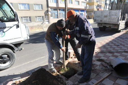 Bozüyük'te Fidan Dikim Yerlerini Belirledi