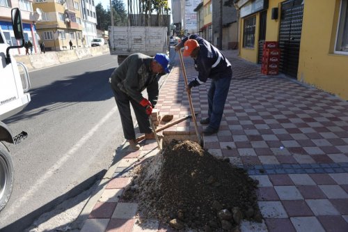 Bozüyük'te Fidan Dikim Yerlerini Belirledi