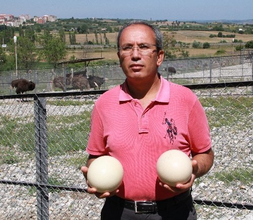 Bu Yumurta İle 15 Kişiye Omlet Yapılabiliyor