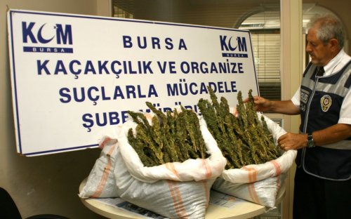 Bursa'da Taze Fasulye Poşetinde 36 Kilo Esrar