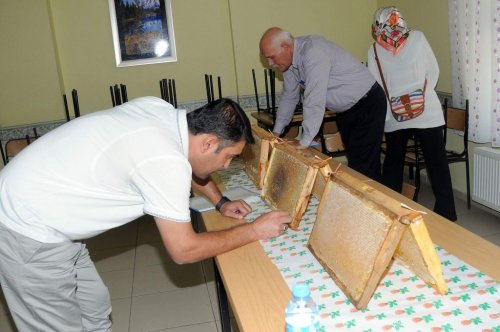 Çelikhan’da 16. Bal Festivali Başladı