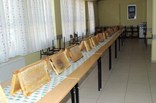 Çelikhan’da 16. Bal Festivali Başladı