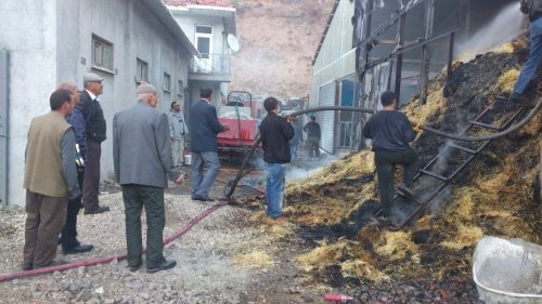 Çorum'da 144 İneğin Bulunduğu Mandıra Yandı