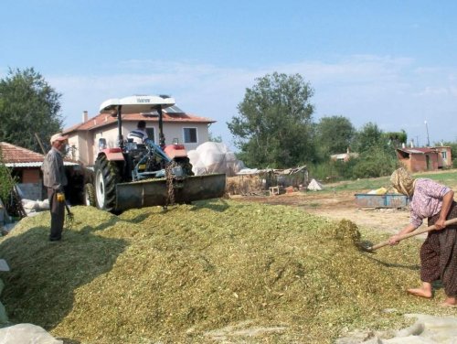 Dalaman’da 95 Üreticiye 219 Bin Tl Yem Desteği