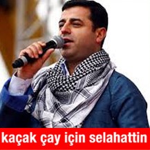 demirtas_8531.jpg