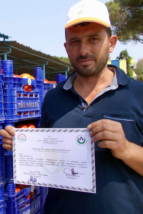 Domates Üreticilerine Sertifika Ve Logoları Dağıtıldı