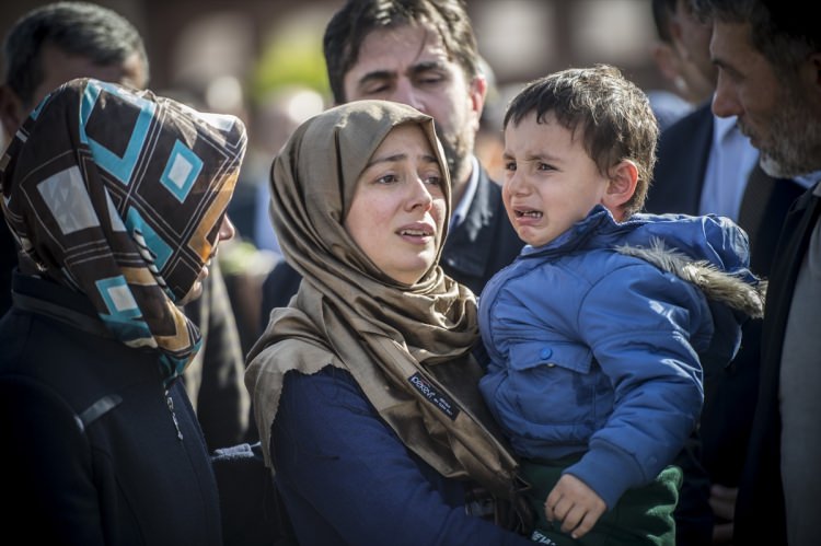 dqjho_1478951260_0375.jpg dqjho_1478951260_0375.jpg