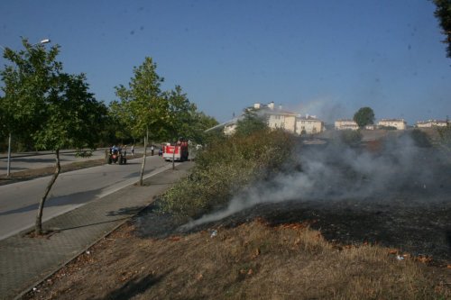 Düzce’de Bitki Örtüsü Yangını